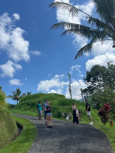 In Penebel, Indonesia, several people stand on a paved path. Lush green vegetation flanks both sides of the path. Above, a bright blue sky is filled with puffy white clouds. Palm trees are visible on the left. The environment suggests a tropical location.