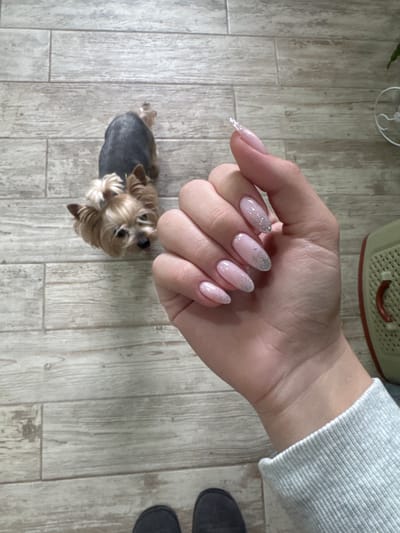 A hand with manicured nails is displayed against a background of wood-look flooring. The nails are light pink and adorned with silver glitter near the tips. A small dog, possibly a Yorkshire Terrier, is in the lower left corner, looking upwards. A portion of a grey sweater sleeve is visible in the upper right corner. The flooring has a light, grey-toned wood grain pattern. A portion of what appears to be a tan-colored container or appliance is visible near the top of the frame. The location is not discernible from the image alone, as the scene lacks identifying elements.