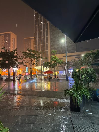 The image depicts an outdoor scene at night in Panyu District, China, during a rain shower. The ground is wet and reflective, showing the bright lights from surrounding buildings and illuminated signs. Several trees are visible, with their leaves appearing wet from the rain. In the mid-ground, there are people with umbrellas and what appears to be a food cart under a red umbrella. The background features tall modern buildings with illuminated windows, indicating an urban environment. The foreground shows a dark tiled surface, some of which is wet, and a large potted plant with spiky green leaves. The overall atmosphere is damp and illuminated by artificial lights, highlighting the rain's impact on the urban landscape.