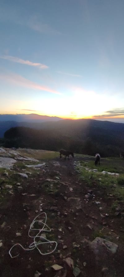The image depicts a scenic mountain landscape at dusk or dawn. The sky transitions from a deep blue at the top to shades of orange and pink near the horizon, with faint clouds. Silhouetted mountains form the backdrop, with a bright band of light along the horizon indicating the setting or rising sun. In the foreground, a rocky and grassy terrain slopes downwards. There are three horses visible: one dark-colored horse is walking on a dirt path in the middle ground, and a lighter-colored horse is grazing on the grass to its right. Further in the background, another animal, possibly a deer, is faintly visible on the right. A white coiled rope lies on the ground in the lower left portion of the image. The scene appears to be an outdoor, natural environment, possibly a mountainous region near Simeonovets, Bulgaria, given the visual elements.