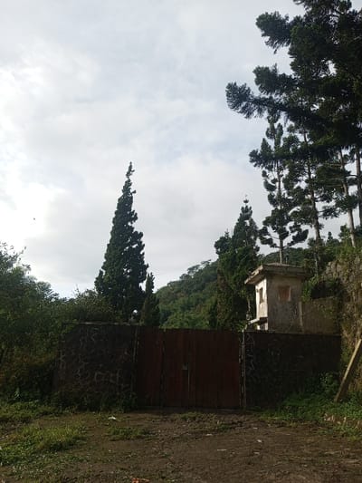 A weathered, gray structure with empty window frames stands near a stone and wood fence. Tall evergreen trees dominate the landscape, set against a cloudy sky. Lush green vegetation covers the surrounding hills. A dirt path leads up to the fence, suggesting an entrance to the wooded area. The scene is quiet and overgrown, giving a sense of abandoned tranquility.