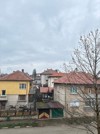 This image depicts a residential street scene in Cherven Bryag, Bulgaria, under an overcast sky. The foreground features a paved ground surface with a low curb and a sparse, winter garden containing a green waste bin and a low wire fence. Two attached garages are visible behind the garden, the left door painted brown with yellow and red chevron stripes, and the right door painted green. Their flat roof shows some dark debris or moss.

In the midground, several two-story houses are closely arranged. To the left, a house with a yellow upper facade and a grey lower section features multiple white-framed windows, a small metal-railed balcony, and a red tiled roof with a brick chimney. A satellite dish is mounted on a pole near the back of this property. To the right, another two-story house, predominantly light beige/grey, also has a red tiled roof and multiple windows, some with light blue frames or shutters, and one with a partially open brown wooden shutter. An attached single-story structure with a darker red tiled roof is visible on its left side.

A large, leafless deciduous tree with numerous small, dark seed pods or fruits occupies the right side of the foreground and midground, obscuring part of the right house. The background reveals more residential buildings with similar red tiled roofs and light-colored facades receding up a gentle slope, interspersed with a few evergreen trees. The sky is uniformly light grey with visible cloud formations, suggesting an overcast day. No people or active interactions are visible.
