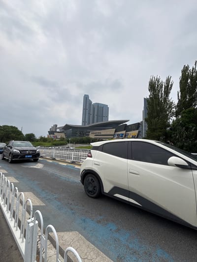 An eye-level, medium shot captures a street scene in Shenhe District, China, under an overcast sky. In the foreground, a white hatchback is parked to the right, partially obscuring a road marked with blue paint and white pedestrian crossing lines. To the left, a black Mercedes-Benz SUV is driving in the same lane, its license plate visible as "E A 08929". The background features a modern architectural complex with several tall, glass-clad skyscrapers and a curved building with prominent signage that includes "K11" and "EXPO". Trees with dense foliage flank the right side of the frame. A white metal barrier separates the road from a sidewalk or pathway. The image appears to be taken on a cloudy day.