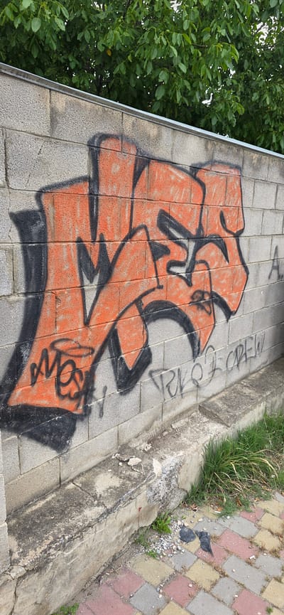 The image shows a concrete block wall with orange and black graffiti. The graffiti is in a blocky, stylized font and appears to say "MES". Below the main graffiti, there is smaller, lighter gray graffiti that is difficult to read but may contain the words "CREW". There are also some faint letters "A." and "TRKO" to the right of the main graffiti.

The wall is part of an outdoor setting, with a metal trim running along the top. Green foliage from a tree hangs over the wall from above. The lower part of the wall has a concrete ledge or base that is weathered and cracked, with small plants growing around it. The ground in front of the wall is paved with colored rectangular stones, and there is some scattered gravel and debris.

The scene suggests an urban or semi-urban environment. Given that the request specifies the city of Gori, Georgia, this location is likely a public wall or structure within that city. There are no people visible in the image. The overall impression is of an outdoor space that has been marked with graffiti.