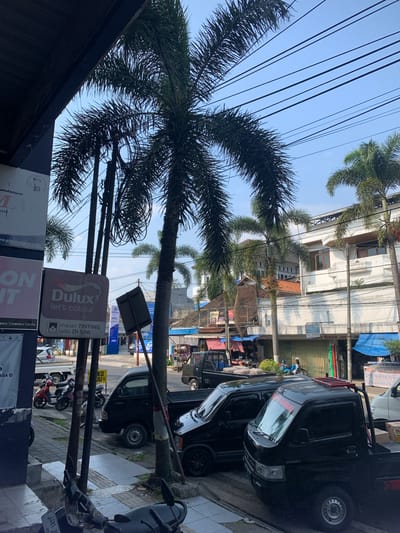 This media file shows a street scene in Sumedang, Indonesia. The image is oriented vertically, with the bottom of the frame showing a sidewalk and a road. Palm trees are a prominent feature of the scene, with their fronds extending across the upper portion of the image and also visible in the midground. Buildings line the street, some appearing to be shops with awnings and signs.
In the foreground, there are several signs, one of which prominently displays the "Dulux let's colour" logo and text in Indonesian indicating "mesin TINTING ada DI SINI" (tinting machine available here). Another sign mentions "Pipamaspvc.com". To the right, a black pickup truck is parked, with the word "CARRY" visible on its side. A motorcycle is also parked nearby. Further down the street, more vehicles, including motorcycles and cars, can be seen.
The sky is clear and blue, suggesting a bright day, likely in the morning or afternoon. The presence of the palm trees and the signage in Indonesian strongly indicate the location as Indonesia, specifically Sumedang as per the provided context. There are no people clearly visible in the image, but the overall impression is of a typical busy street in a Southeast Asian town. The scene captures an everyday commercial environment with a focus on products and services offered at local businesses.
