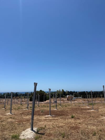 The image depicts an outdoor scene under a clear blue sky. In the foreground, a dry, grassy field is dotted with numerous tall, slender metal posts, many of which appear to be part of a construction or installation project. Some posts are topped with rectangular fixtures. The ground is dry and reddish-brown, with sparse vegetation. In the middle ground, there are more rows of these posts, along with some low-lying structures, possibly portable buildings or equipment, and what appears to be a white van. Beyond this area, a line of trees forms a backdrop, with the blue sea visible in the distance. The overall impression is of a site under development, likely in a rural or coastal area.

Based on the context provided in the prompt, this scene is located in the city of Scicli, Italy.