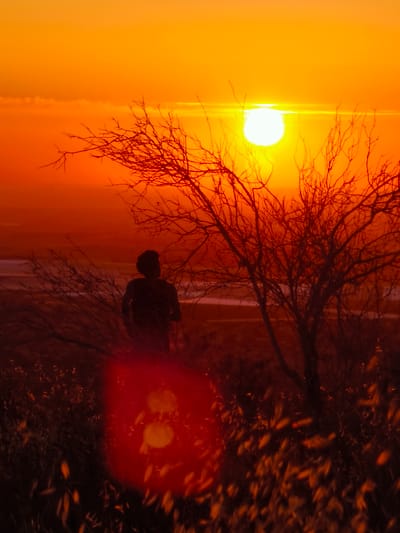This vertical image depicts a sunset or sunrise scene over the Lachish Regional Council, Israel, characterized by a dominant palette of warm orange, red, and yellow hues. A brilliant, circular white sun, emitting a strong horizontal lens flare, is positioned high on the right side of the frame, near the upper horizon. The sky transitions from a bright yellow-orange near the sun to a deeper, more saturated orange and red towards the lower parts of the sky.
In the midground, the dark, intricate silhouette of a large, bare deciduous tree, featuring numerous slender branches, occupies the central and right portions of the frame. To the left of this prominent tree, a lone human figure stands in silhouette, facing away from the viewer and towards the setting sun. The figure, appearing to be an adult male with short hair or a hat, is partially obscured by smaller, similarly bare branches.
The distant background, below the horizon, reveals a hazy, reddish landscape that includes a distinct, lighter horizontal band, which may represent a distant body of water or a flat, light-colored plain. The immediate foreground is densely populated with the dark silhouettes of dry bushes and grasses. A prominent, large, circular, deep red lens flare, containing two brighter inner circles, is situated in the lower-left quadrant, partially illuminating some of the foreground foliage. The scene is strongly backlit, creating stark silhouettes against the brilliant sky.