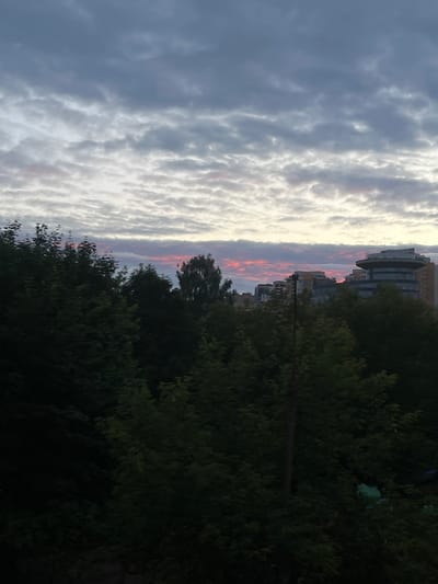 The image depicts a twilight sky with scattered clouds over a cityscape, seen through the canopy of dark green trees. The sky transitions from a deep grey at the top to lighter shades of grey, white, and streaks of pink and orange near the horizon, suggesting a sunset or sunrise. Silhouetted against the sky are the upper portions of various buildings, including a distinctive rounded structure with glass facades. A single tall, slender tree stands out among the denser foliage in the mid-ground. The foreground is dominated by the dark shapes of trees, obscuring the ground level. A utility pole with wires is visible on the right side of the image, partially integrated with the trees. The scene appears to be an urban environment in Pushkino, Russia, viewed from an elevated position looking towards the east or west.