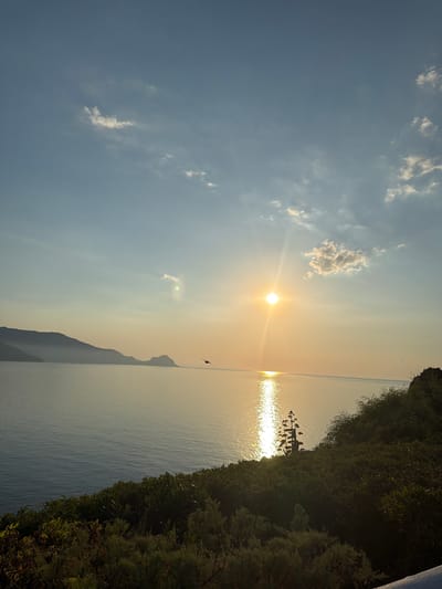 The image depicts a serene coastal landscape at sunset, possibly in Finale, Italy, characterized by a body of water, landforms, and vegetation. The sun, a bright orb, is low in the sky, casting a golden sheen on the calm water and a visible reflection trail. The sky is a gradient of blue and orange, with scattered clouds. In the distance, a silhouetted mountain range forms the backdrop, with a smaller, rocky island or promontory jutting out into the sea. The foreground is dominated by lush green foliage, typical of a Mediterranean coastline, with a solitary, spiky plant silhouetted against the setting sun. A bird is captured mid-flight over the water, adding a dynamic element to the tranquil scene. The overall impression is one of natural beauty and peacefulness, likely captured during the golden hour.
