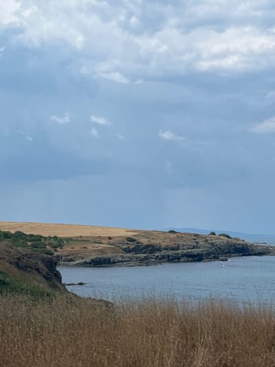 The image captures a coastal landscape, likely in or near Lozenets, Bulgaria. In the foreground, tall, dry, golden-brown grass dominates the lower portion of the frame. Behind the grass, a rocky, uneven coastline meets the calm, blue sea. The sea extends towards the horizon, where a hazy, lighter blue sky meets distant, muted hills. The middle ground features a prominent cliff face, layered with dark grey rock. Above the cliffs, a wide, undulating hillside is covered in dry, yellow-brown vegetation, with patches of darker green shrubs. A few white specks, possibly birds, are visible on the water's surface near the shore. The sky above is a mix of blue and grey clouds, with the clouds appearing heavier and darker towards the top of the image. A small, red object, possibly a vehicle or a structure, is visible on the hillside in the mid-ground.