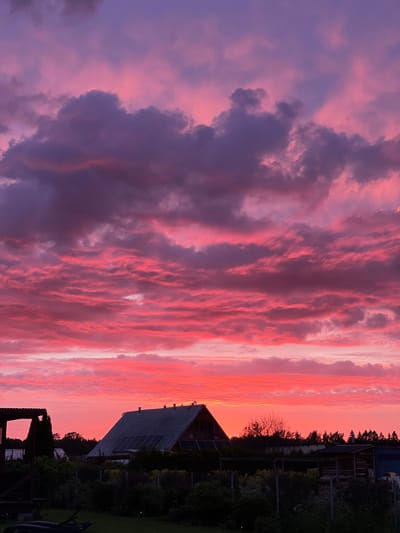 This is a vertical, high-angle shot of a vibrant sunset over a rural landscape in Zaķumuiža, Latvia. The sky is filled with dramatic clouds painted in shades of deep purple, pink, and orange. In the foreground, silhouetted against the bright sky, are several structures. A prominent gable-roofed house with solar panels on its roof is visible, along with a smaller, open-sided structure to the left. Dense vegetation, including bushes and trees, forms a dark band across the mid-ground, obscuring the lower portions of the buildings. A lawn stretches out in the immediate foreground. The overall impression is one of a peaceful, twilight scene.