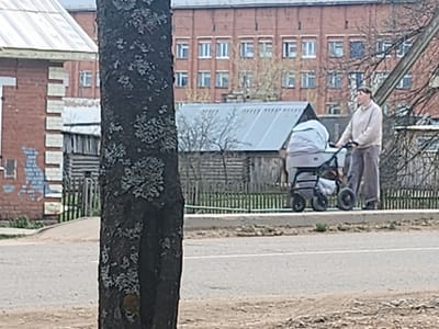 A person is walking along a sidewalk in Krasnogorskoye, Russia, pushing a stroller. The sidewalk is adjacent to a road. In the background is a red brick building with multiple windows, and a wooden fence. A tree trunk with lichen is prominent in the foreground on the left side of the image.