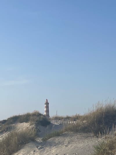 The image shows a striped lighthouse with a red top, located behind sand dunes and tall, dry grass. A wooden fence runs horizontally in the background. The sky is clear and blue. This is a view of the lighthouse at Barra Beach in Gafanha da Nazaré, Portugal.