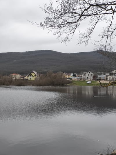 The photograph shows a body of water, likely a lake, with reflections on its surface. In the background, there is a tree-covered hill, and in the mid-ground, several houses and bare trees are visible. A single duck swims on the surface of the water. A tree branch with bare branches is in the upper right portion of the image, partially obscuring the sky. The sky is overcast. The location is within the Орлиновский округ, Ukraine.