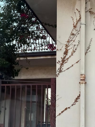 The image shows an exterior scene with architectural elements and vegetation. A white, textured overhang runs across the top of the frame, adorned with dried, clinging vines. A metal pipe with a rusted coupling is visible along the overhang.

Below the overhang is a partial view of a building's exterior. A window with a dark-colored grid is seen through lush, green vegetation with pink flowers. Adjacent to the window is a section of a wall or column, possibly made of concrete. To the right, a dark, horizontally slatted structure is partially visible. The scene appears to be in Acireale, Italy, based on the architectural style and vegetation.