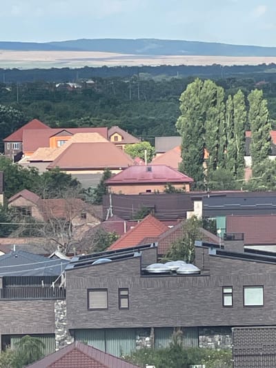 The image depicts a residential area with several houses, characterized by their pitched roofs and varying architectural styles. The houses are nestled among lush green trees, suggesting a rural or suburban setting. The landscape extends to a body of water in the background, possibly a lake or sea, with a faint coastline visible under a bright sky, indicative of daytime. One house stands out with a dark, textured facade and modern window designs. Another house features a prominent red roof. The overall scene conveys a sense of calm and domesticity. There is no visible text in the image.