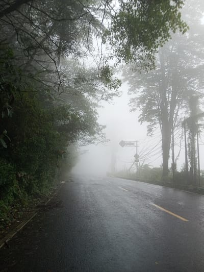 The image presents a wet, two-lane asphalt road in Neerveli, Sri Lanka, under conditions of dense fog. A solid yellow line marks the right boundary of the road, which recedes into the heavy mist. To the left, a steep embankment is covered in thick, dark green foliage. To the right, several tall, slender trees, some exhibiting vine overgrowth, line the road, their upper portions obscured by the fog. In the mid-distance on the right, a diamond-shaped road sign and a utility pole with numerous sagging wires are partially visible. A small orange traffic barrel or cone is faintly discernible on the right shoulder further along the road. The road surface appears wet, consistent with high humidity or recent precipitation. No individuals or vehicles are present in the scene.