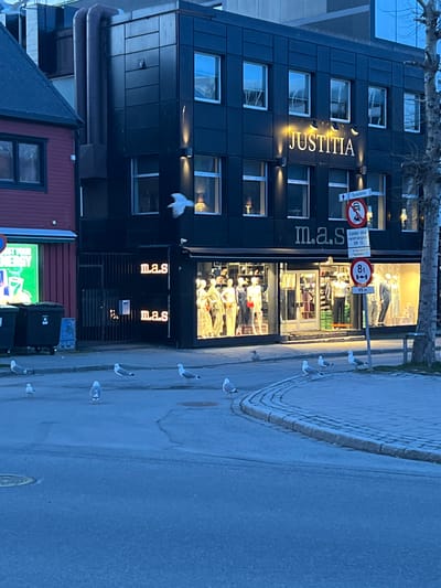 The image depicts a street scene in Tromsø, Norway. A four-story building with the name "JUSTITIA" vertically aligned on its facade is prominent. The ground floor houses a store named "m.a.s." The shop windows are brightly lit, displaying mannequins dressed in various outfits. Numerous seagulls are present, some standing on the sidewalk and one flying in front of the building. Traffic signs are visible on a pole near the shop. The sidewalk is paved with stone blocks. A red building partially obscured by the main structure. Trash cans are located near the sidewalk.