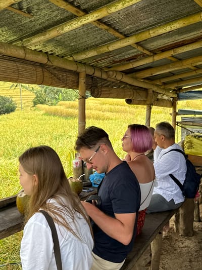 This is a medium shot photograph taken from under a rustic bamboo and corrugated metal roof structure, looking out over a vibrant, golden-yellow rice paddy field in Penebel, Indonesia. Four people are seated on a wooden bench, facing away from the camera and towards the scenic view.

On the left is a young woman with long, light brown hair, wearing a white shirt. She is looking towards the rice paddy. Next to her is a man with short dark hair and glasses, wearing a navy blue t-shirt. He appears to be looking down at his phone or something in his hands. To his right is a woman with short, bright pink hair, wearing a white top and a patterned skirt. She is also looking towards the rice paddy. On the far right is an older man with short grey hair, wearing a white striped shirt and grey pants. He has a dark backpack slung over his shoulder and is looking to the side.

In front of the people on the bench, on the wooden surface, are two halved coconuts with straws, suggesting they are enjoying refreshments. A mobile phone is also visible on the bench. The rice paddy is lush and appears to be ready for harvest, with terraced levels visible in the distance, indicative of traditional Balinese rice cultivation. The structure overhead is constructed from natural bamboo poles and beams, with a rolled bamboo matting serving as a partial wall. The overall impression is one of relaxed observation of a beautiful rural landscape.