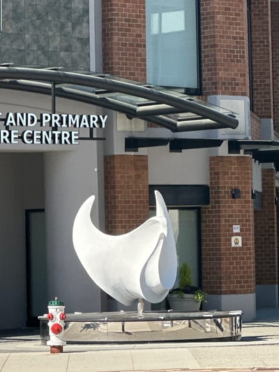 The image shows a white abstract sculpture in front of a building. The sculpture is located outdoors on a paved walkway. Behind the sculpture, the building has a brick facade and large windows. There is a sign on the building that says "AND PRIMARY CARE CENTRE". A red and white fire hydrant is visible to the left of the sculpture. The scene appears to be in Burnaby, Canada.