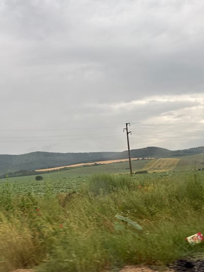 The image depicts a rural landscape under a cloudy sky. In the foreground, tall, blurred green grass with scattered red poppies is visible. A single, brown wooden utility pole stands centrally in the mid-ground, supporting power lines that stretch horizontally across the frame. Behind the pole, rolling hills covered in various crops dominate the landscape. The hills are a mix of green fields, likely with sunflowers, and lighter golden fields, possibly of wheat or barley. A solitary dark green tree is situated in the middle distance on the left. In the background, more hills covered in dense, dark green vegetation recede towards the horizon. The overall impression is of a cultivated agricultural area in the countryside of Komarevo, Bulgaria.