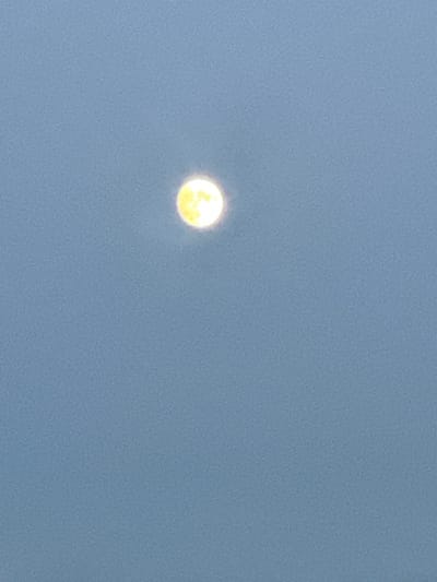 A full moon is visible in the upper center of the image against a clear blue sky. The moon is illuminated and appears to have a slight yellowish hue. The sky is uniformly colored with no clouds or other celestial bodies visible. The image is focused on the moon, with the sky serving as a backdrop. The scene appears to be an outdoor shot, likely taken during the evening or night. The location of Peremyshliany, Ukraine, is not discernible from the image itself.