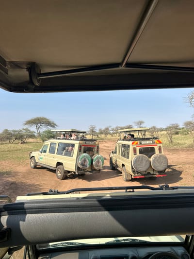 The image depicts an outdoor scene in the Seronera region of Tanzania, featuring three safari vehicles on a dry, unpaved dirt track under a clear blue sky. The perspective is from inside the front compartment of a third, unidentifiable safari vehicle, looking forward.
Two tan-colored safari vehicles, likely modified Toyota Land Cruisers, are positioned ahead. The vehicle on the left (Tanzanian license plate "T 845 AKU") features two rear-mounted spare tires covered in a greenish-brown material. Approximately three to four individuals are visible from the chest up through its open roof hatch, observing the environment.
The vehicle on the right (Tanzanian license plate "T 127 CHW") also has two rear-mounted spare tires, covered in a greyish material. Approximately two to three individuals are visible through its open roof hatch.
The vehicles are stationary or moving slowly on the dirt track, which cuts through an expansive savanna landscape. The environment consists of dry, light-colored grass and scattered acacia trees with flat canopies. The sky is clear, indicating daytime conditions. The scene suggests a wildlife viewing activity.