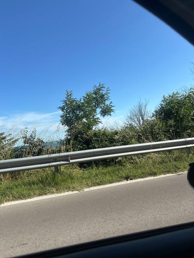 The media file displays a roadside scene with a clear blue sky and lush green vegetation. The perspective suggests the photo was taken from a moving vehicle, as indicated by the blurred trees and the angled view of the asphalt road. A silver guardrail runs along the edge of the road, separating it from the grassy shoulder and dense foliage. Several trees with green leaves are visible, some appearing to be deciduous. A few wispy white clouds are scattered across the sky, indicating fair weather. The sunlight suggests it is daytime, likely mid-morning or afternoon, given the bright illumination. The scene is tranquil and natural, typical of a rural or suburban setting. There is no visible text in the image. The location context points to Balchik, Bulgaria.