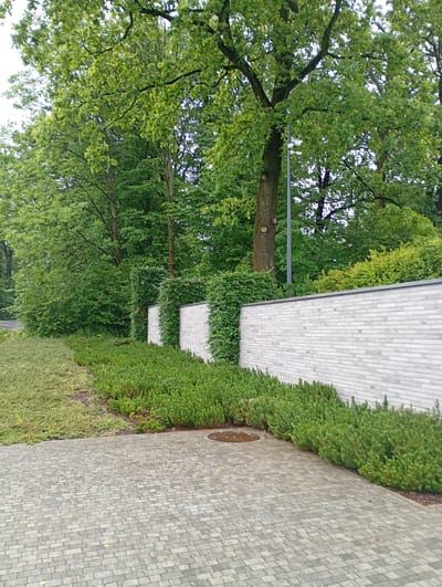 The image shows a paved walkway in front of a white brick wall. The walkway is made of grey interlocking pavers. The wall is topped with a grey coping stone. To the left of the wall is a patch of green ground cover, and to the right are several rows of low-lying green bushes. Behind the bushes and wall is a dense forest of trees. The scene is likely located in Nowa Wieś Szlachecka, Poland, based on the context provided. There are no people or animals visible in the image.
