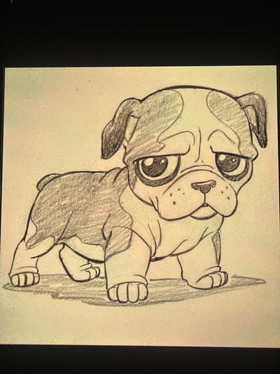 The image shows a pencil sketch of a sad-looking bulldog puppy. The puppy is depicted in a frontal view, with large, droopy eyes and a slightly downturned mouth, conveying a sense of melancholy. Its fur is shaded with pencil, indicating patches of darker and lighter colors. The background is a plain, textured surface, giving the impression of a drawing on paper. There are no discernible elements that would place this sketch in any specific city, including Košice, Slovakia.