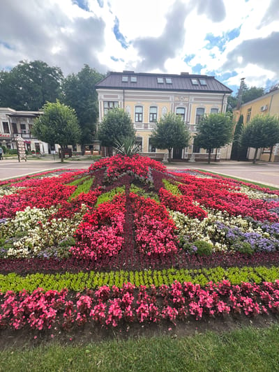 This is a medium shot, eye-level, vertical, full-color photograph taken in Kislovodsk, Russia. In the foreground, a meticulously arranged flower bed displays a vibrant tapestry of red, pink, white, green, and purple blossoms. The flowers are planted in distinct rows and sections, creating a colorful, layered effect that rises towards the center, reminiscent of a tiered cake or a volcano. Behind the flower bed, a paved walkway runs horizontally across the image. In the middle ground, a cluster of trees with lush green foliage partially obscures buildings. The buildings themselves are predominantly yellow with white architectural details and dark-tiled roofs. One building in the center features multiple dormer windows on its roof. Signs are visible near the trees on the left, suggesting a public area or promenade. The sky above is partially cloudy, with patches of blue visible amongst the white and gray clouds. The overall scene depicts a well-maintained public garden space with floral displays in front of architectural structures, characteristic of a resort town like Kislovodsk.