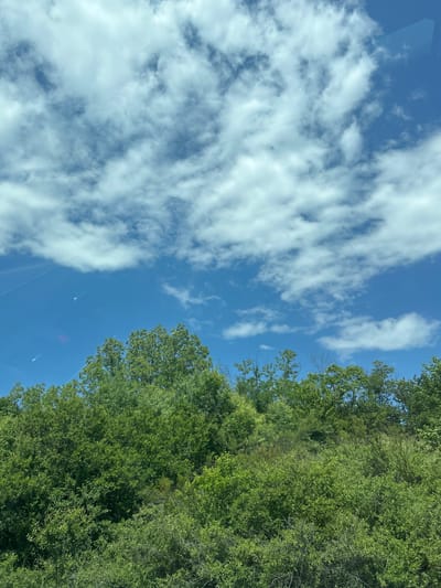 The image displays an outdoor scene primarily divided between sky and vegetation. The upper two-thirds of the frame are occupied by a clear blue sky, interspersed with numerous white cumulus clouds of varying sizes and densities, primarily concentrated in the upper sections and along the horizon line. Several faint, white aircraft contrails are visible across the blue areas of the sky, particularly in the upper left quadrant. The lower third of the image is dominated by a dense, verdant expanse of deciduous trees and shrubs. The foliage exhibits multiple shades of green, indicating robust growth and forming an irregular, dark green canopy against the sky. Faint, angular reflections are subtly visible in the sky, suggesting the photograph may have been taken through a window. This natural landscape is situated in the city of Ihtiman, Bulgaria.
