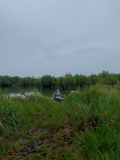 The image shows a waterside scene in what appears to be Ibasa, Nigeria. Lush green grass and vegetation line the bank of a river or lagoon. A small boat is partially visible, nestled among the vegetation along the shoreline. Beyond the boat, the water stretches towards the opposite bank, which is densely lined with trees. The sky is overcast with a uniform gray color. A small bird is flying in the sky.