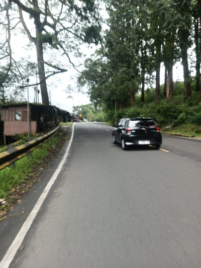 The image displays a two-lane asphalt road in Bangtsho, Bhutan, under an overcast sky. A black passenger vehicle, appearing to be a hatchback or small SUV, is observed from the rear as it drives away from the viewer on the right side of the road. The left shoulder of the road is marked by a solid white line. Parallel to this, a yellow and black striped metal guardrail runs along the roadside. Behind the guardrail, a series of dilapidated, possibly wooden or sheet metal structures with utility poles are visible. Dense green vegetation, including large trees with expansive branches on the left and a cluster of tall, slender trees on an uphill slope to the right, borders the road. A yellow diamond-shaped sign is faintly visible in the far distance on the left side.