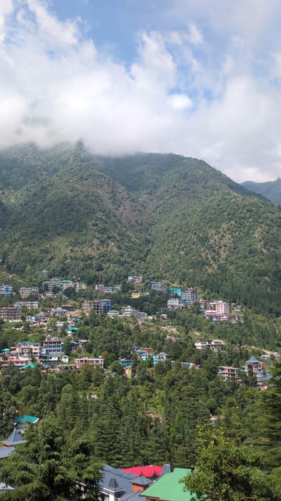 The image shows a hillside in Dharamkot, India, with a dense covering of trees and vegetation. Numerous buildings are interspersed amongst the trees, creating a mixture of urban development and natural landscape. The upper part of the hill transitions into a mountain covered with a similar lush green. Clouds partially obscure the left side of the mountain, suggesting high altitude or a misty weather condition. The sky above the clouds is blue, indicating fair weather above the immediate cloud cover. The buildings appear to be multi-storied and of various colors, likely residences or tourist accommodations. The layout of the buildings and the mountain's slope suggest a terraced or stepped development pattern.