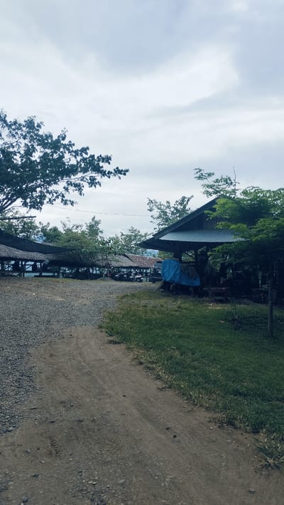 This outdoor scene in Lambarotunong, Indonesia, depicts a rustic gathering area under an overcast sky. In the foreground, a dirt path with tire tracks runs alongside a gravel patch on the left and a strip of green grass on the right.
The midground features several open-air structures, likely huts or shelters, arranged along a slight incline. Most of these have dark, possibly thatched or tarp roofs, supported by wooden poles, and are situated in a line. Beyond these, a glimpse of what appears to be a body of water or a distant valley can be seen. On the far right, a larger shed-like structure with a corrugated metal roof is visible, partly obscured by lush green foliage. A bright blue tarp covers something under this shed. Several scooters or motorcycles are parked near the huts, suggesting visitors or residents are present, though no people are clearly visible.
Large, leafy trees frame the upper left and right sides of the image, contributing to the natural, verdant setting. The sky is largely covered by soft, grey clouds, indicating an overcast day. The overall impression is one of a simple, functional outdoor space, possibly a local eatery or resting area, with a quiet and serene atmosphere. There is no visible text in the image.