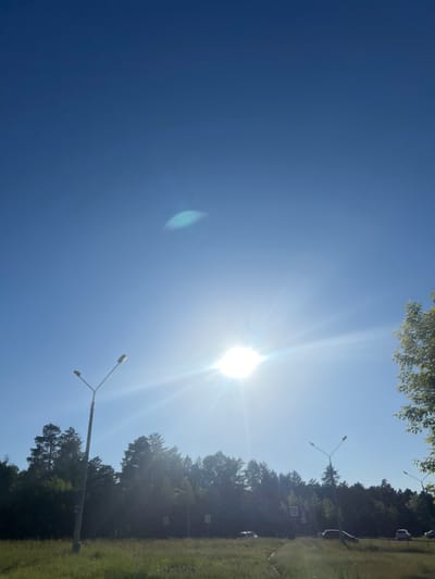 The image captures a bright, sunny day with a clear blue sky over Zheleznogorsk, Russia. The sun is prominently featured in the center-right of the frame, emitting strong rays and lens flare. In the foreground, there is a grassy field with some dry vegetation. A tall lamppost with two lights stands on the left side of the image. In the middle ground, a line of dark green coniferous trees forms a dense forest. There are a few cars visible on what appears to be a road running alongside the forest, and two more lampposts can be seen in the distance. Several traffic signs, including a pedestrian crossing sign, are also present. The overall scene depicts a roadside environment on a summer day.