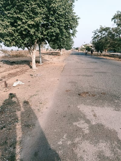 The image depicts an outdoor scene in Rafin Pa, Nigeria, featuring an asphalt road extending into the distance under a clear, bright sky. To the left of the road, a dry, dusty dirt shoulder is visible, populated by several trees with light-colored trunks and dense green leaves. Two slender light-colored poles are positioned among these trees. On the dirt shoulder in the foreground, a piece of white debris and a small, dark cylindrical object are present. Two distinct human shadows are cast onto the lower-left dirt, indicating the photographer's position.
Four pedestrians are observed on the road in the mid-distance. Two individuals walk abreast on the right side of the road, one in dark clothing, the other lighter. Further ahead, a solitary figure wearing a reddish top walks on the road. Another indistinct figure is visible further along the right side, near a cluster of trees. The asphalt road shows signs of wear, including cracks and darker patches. Structures and additional trees are visible in the background, suggesting a semi-urban or rural environment.