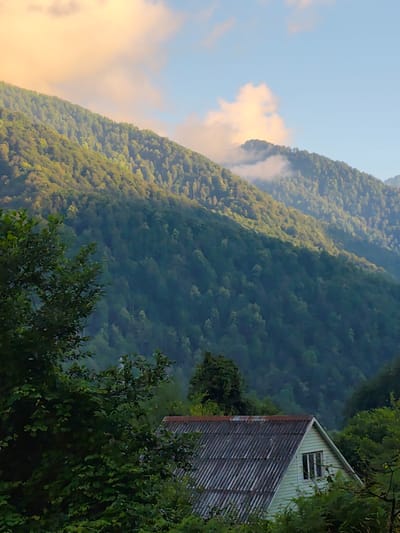 The image depicts a rural scene in Krasnaya Polyana, Russia, featuring a light-colored house with a corrugated roof nestled amongst lush green foliage. The house has a single visible window. In the background, a majestic, densely forested mountain slopes upward towards a sky with soft, golden-tinted clouds and patches of blue. The mountain is partially illuminated by sunlight, casting shadows across its contours. The foreground is dominated by dark green trees and branches, framing the view of the house and the mountains beyond. The overall atmosphere is serene and natural.