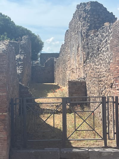 The image depicts a view through a metal gate of a pathway within the ancient ruins of Pompeii, Italy. The pathway is lined by weathered stone and brick walls, remnants of ancient structures. Sunlight casts shadows on the ground, which is covered in dry grass and small red flowers, possibly poppies. In the background, more ruins are visible, including a large, rough-hewn stone structure. The sky above is partly cloudy, with some trees visible on the left side of the image.