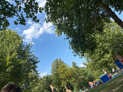 This is a low-angle, wide shot looking up at a bright blue sky with scattered white clouds, framed by the lush green leaves of several large trees. The image is oriented such that the ground is at the top and the sky is at the bottom, suggesting the photographer is lying down or looking upwards from a low vantage point.

In the upper portion of the image, which represents the ground, several people are visible. They appear to be gathered on a grassy area, possibly a park or a riverside. Some individuals are lying on towels or blankets, while others are seated. There are also some objects, including what looks like a blue portable chair or screen, bags, and possibly swimwear. The people seem to be relaxed and enjoying a sunny day.

The scene suggests a casual outdoor gathering, possibly a picnic or a day at the beach or river. The bright sky and green foliage indicate it is daytime, likely during the warmer months. The presence of trees suggests a natural setting, perhaps a park or a wooded area near a body of water, consistent with the provided location context of Bürgstadt, Germany. The overall mood appears to be peaceful and leisurely. No visible text is present in the image.