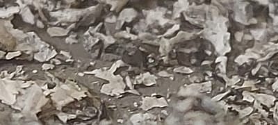 The image shows a close-up, abstract view of what appears to be a natural, earthy surface with varying textures and shades of gray, brown, and white. The surface is uneven and fragmented, resembling cracked mud, dry soil, or perhaps a collection of small, weathered stones or debris. There are no discernible features that clearly indicate a specific location within Kohtla-Järve linn, Estonia, or any identifiable objects, people, or actions. The lighting is diffused, and the focus is soft, contributing to the abstract and somewhat ambiguous nature of the scene.