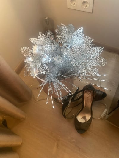 In Novi Petrivtsi, Ukraine, a still life scene unfolds on a wooden floor. A terracotta pot, containing a bouquet of silver artificial flowers and decorative lights, sits on the floor. Adjacent to the pot, a single brown high-heeled sandal with an open toe and criss-cross detailing rests on the floor, its strap extended. The environment suggests an indoor domestic setting, with a beige wall in the background featuring a white electrical outlet with two circular openings. The lighting is dim, casting soft shadows. No individuals are visible in the frame.