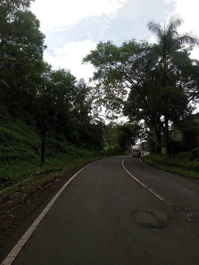 The image displays a two-lane asphalt road curving gently to the right, located in Domphoog_Dungkarchhoeling, Bhutan. The road surface is dark grey with a solid white edge line on the left and a broken white center line that transitions to solid near the curve. Two distinct potholes are present in the foreground and mid-ground of the right lane.
To the left, a steep, densely vegetated embankment rises, covered in green shrubs and trees. A dark utility pole is visible against this embankment. High above the road, within the tree canopy on the left, a large, spherical, lattice-like structure, consistent with a communications antenna or similar equipment, is clearly visible.
The right side of the road features a mix of green foliage, including several large trees and a tall palm tree. Further down the curve, through the trees, partial views of structures, possibly buildings, are discernable. A rectangular white sign with red lettering is partially visible on the right roadside.
A white box truck is observed driving towards the viewer in the right lane, navigating the curve. Behind and slightly to the right of the truck, a smaller, unidentified vehicle, possibly a motorcycle, is partially visible. The sky is partly cloudy, and the overall environment is verdant and hilly.