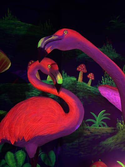 Two neon-painted flamingo statues are centrally positioned in the Binh Lu, Vietnam scene. The flamingos are rendered in shades of pink, purple, and red, with accents of green and yellow on the beaks and eyes. The background features neon-painted foliage and mushrooms on a black backdrop.