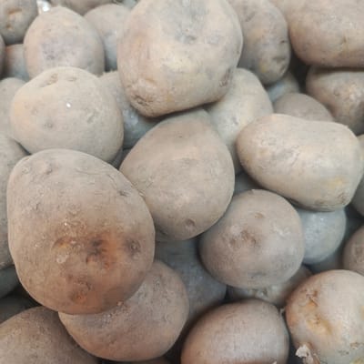 A close-up, eye-level, medium shot captures a pile of approximately ten unwashed potatoes, their surfaces coated in dirt. The potatoes are light brown to greyish-brown in color and vary in size and shape, with some appearing more oval and others round. The lighting is neutral, casting soft shadows and highlighting the textured surfaces of the vegetables. The background is a blur of more potatoes, suggesting a larger quantity. The scene appears to be in an outdoor market or grocery store setting. Specifically, this image was taken on Avenida Francisco de Miranda in Los Teques, Venezuela.