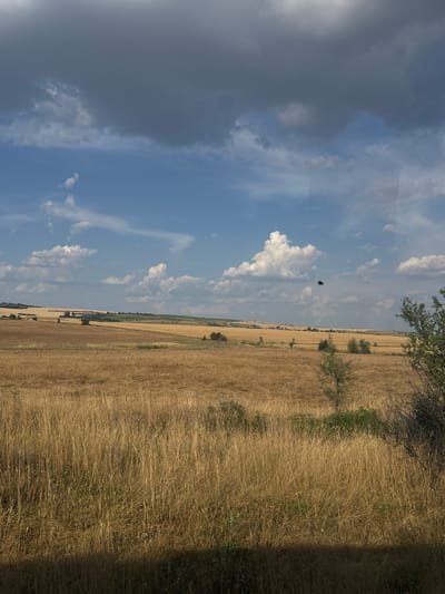 This is a rotated image of a sun-drenched landscape, likely in Tsar Asen, Bulgaria. The scene is divided diagonally, with the sky occupying the left half and a dry, golden field of wheat or similar crop dominating the right.
In the sky, dark, heavy clouds are gathering on the left, juxtaposed with lighter, wispy clouds scattered across a brilliant blue expanse on the right. A small, dark object, possibly a bird or an insect, is visible suspended in the air against the clouds. The overall impression of the sky suggests a dynamic weather pattern, perhaps an approaching storm or the aftermath of one.
The field is characterized by dry, yellow stalks, indicating a late summer or early autumn harvest season. Scattered trees and bushes are sparsely dotted throughout the field, some appearing darker and greener, possibly due to recent watering or a different species. A path or road is faintly visible running through the field, suggesting human activity or access. The right edge of the image is cast in shadow, hinting at the position of the sun and a potential foreground element not entirely captured.
The light suggests it is midday or early afternoon. The overall mood is one of natural beauty and the raw power of the elements. No text is visible in the image.