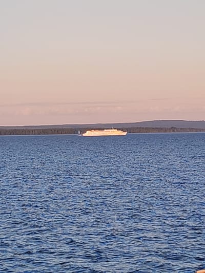 A long, wide passenger ship with a yellow superstructure is sailing on a body of water. The ship is illuminated by the sun, suggesting it is either dawn or dusk. The water is a deep blue with small waves. In the background, there is a dark green forest line along a distant shore, with a hazy sky of pale pink and blue colors above. The scene appears to be a tranquil natural landscape.