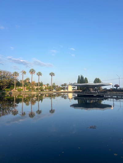 The image captures a serene waterscape with reflections of palm trees and a unique architectural structure in the city of New Athos, Abkhazia. A calm, dark body of water dominates the foreground, mirroring the clear blue sky and wispy clouds above. The reflections are sharp, showing several tall palm trees lining the shore on the left, their fronds creating intricate patterns. Further to the right, a distinctive modern structure with a wide, flat, angular roof stands over the water, supported by pillars. This structure appears to be a cafe or restaurant, with small figures visible sitting at tables on a lower deck. The architectural style is modern and somewhat geometric. Behind the palm trees, there are buildings and more vegetation, including cypress trees near the modern structure. The overall atmosphere is tranquil and picturesque, suggesting a pleasant day in a coastal or lakeside resort town.