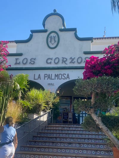 The image shows the exterior of a building with the text "LOS CORZOS" and "LA PALMOSA" visible. The building has a white facade with green trim. There are stairs leading up to the entrance, decorated with colorful tiles. Lush green plants and pink bougainvillea flowers surround the entrance. A woman in a blue top and white pants is seen from behind, walking up the stairs. The sky is clear and blue. The location is Pol. Ind. La Palmosa, Spain.